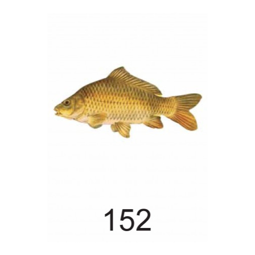 Nr.152