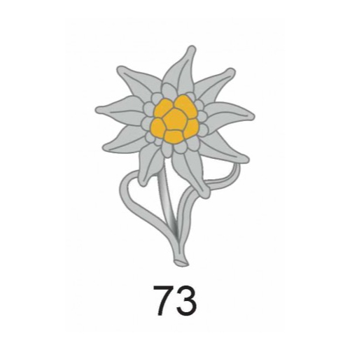 Nr.73 Edelweiß