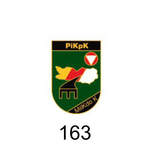 Nr. 163